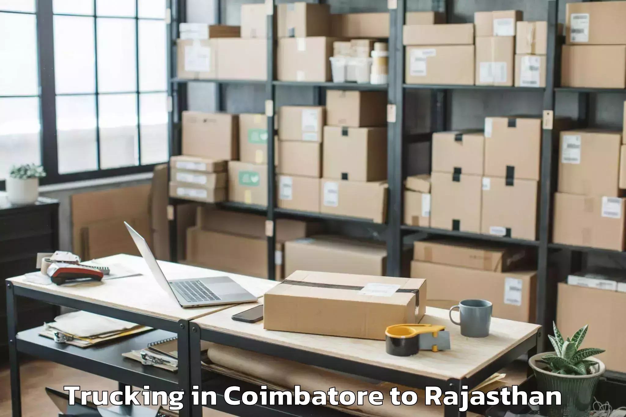 Get Coimbatore to Raipur Pali Trucking